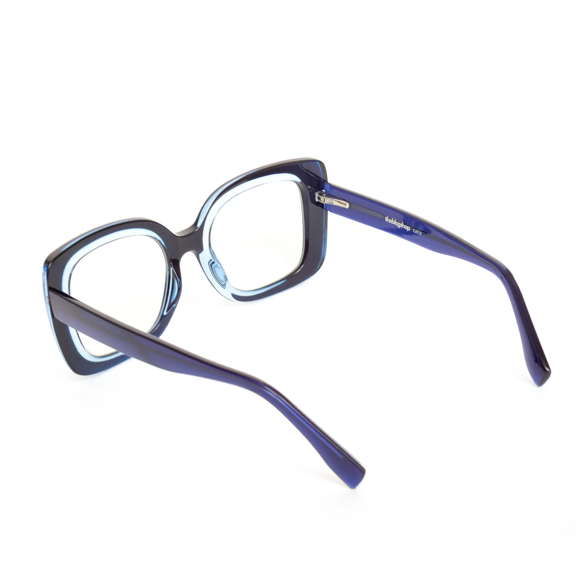 DSC04834 kopia